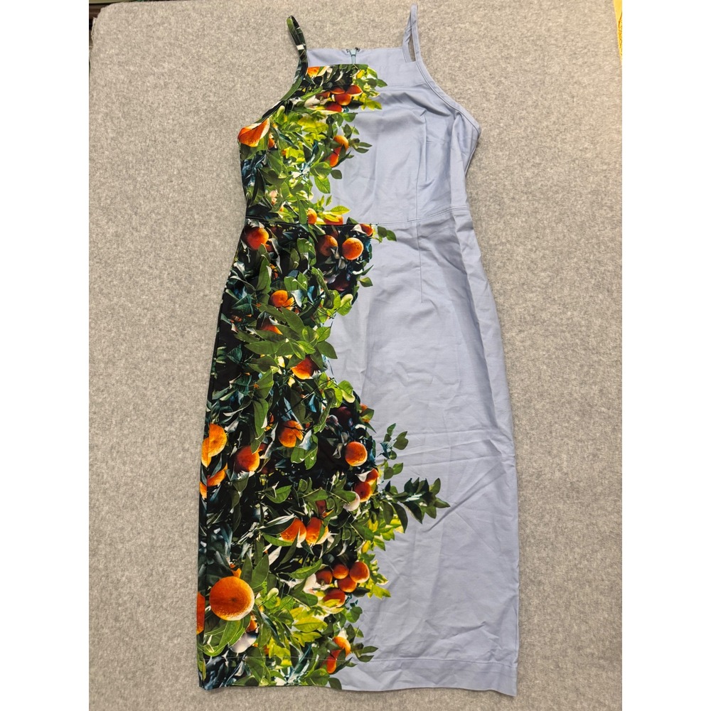 Maeve Anthropologie Orange Tree Fruit Print Midi Sheath Dress Blue Size 6